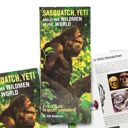 Sasquatch, Yeti and Other Wildmen of the World: A Field Guide