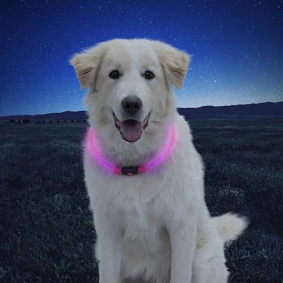 NiteHowl Pet LED Safety Necklace - Pink