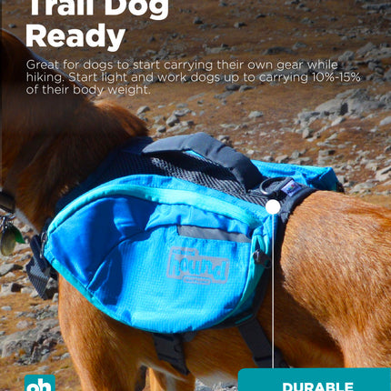 DayPak Saddleback Dog Backpack, Blue