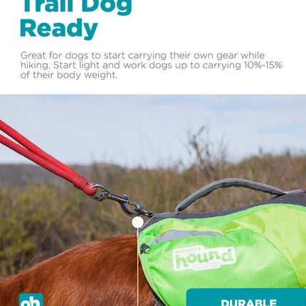 DayPak Saddleback Dog Backpack, Green