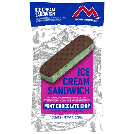 Ice Cream Sandwich - Mint Chocolate Chip