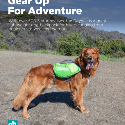 DayPak Saddleback Dog Backpack, Green